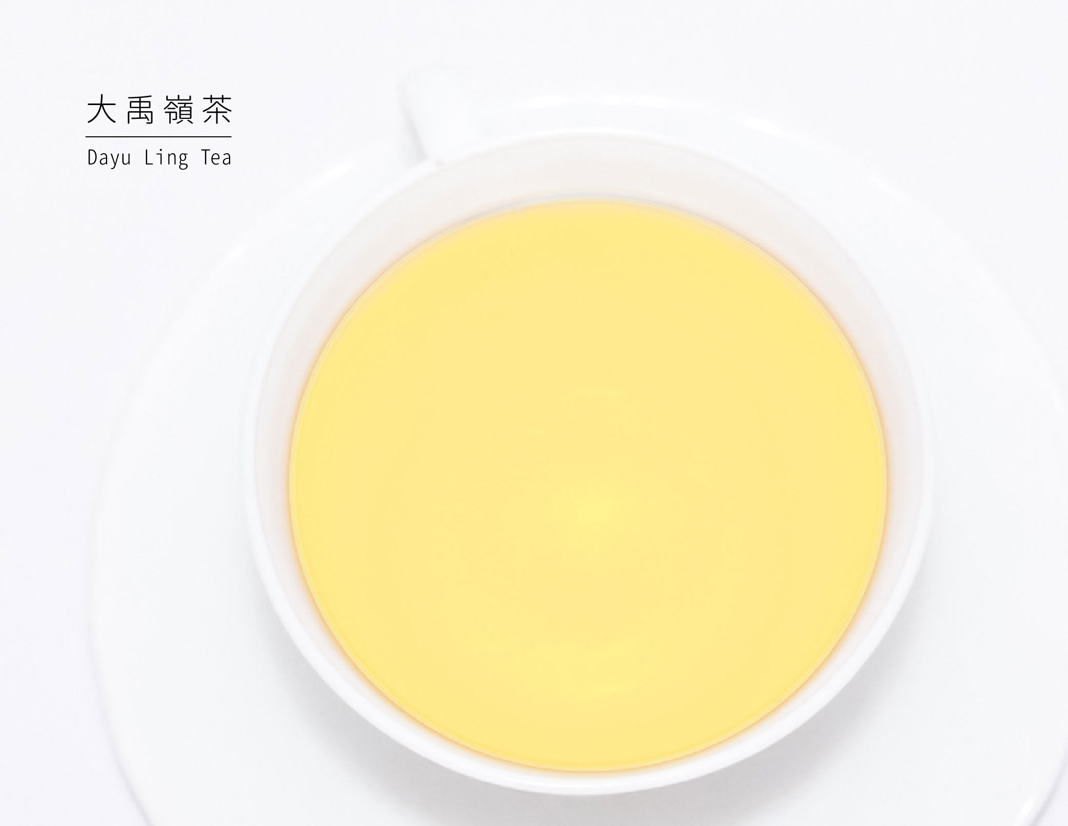 大禹嶺茶