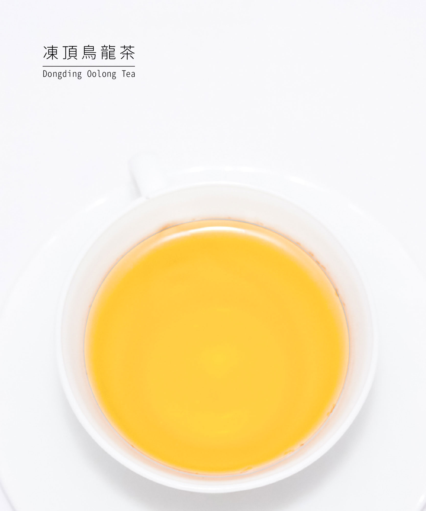 凍頂烏龍茶